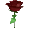 🌹