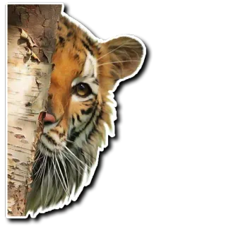 😌 tiger, animal, wildlife, nature, cat, birch tree, wild telegram sticker
