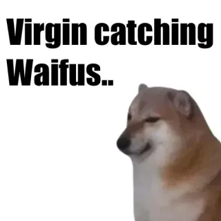 🤡 Virgin catching Waifus.. Meme, Doge, Pies, Waifu, Śmieszne, Mem Internetowy telegram sticker