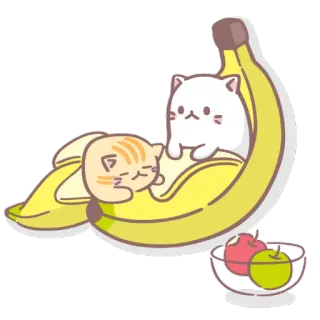 🍎 mèo, chuối, dễ thương, trái cây, hoạt hình, nhãn dán, động vật telegram sticker