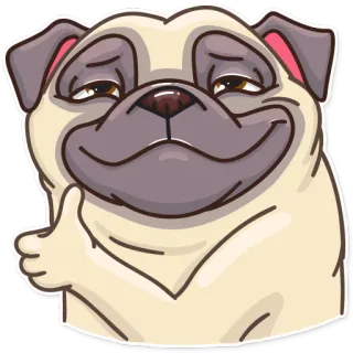 👍 pug, cachorro, joinha, animal, animal de estimação, fofo telegram sticker