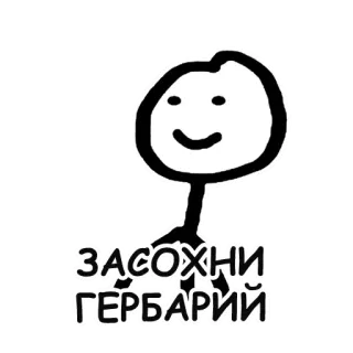 🌺 ЗАСОХНИ ГЕРБАРИЙ strichmännchen, lustig, russisch telegram sticker