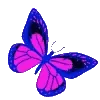 🦋