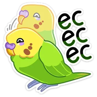 👍 eeeeeeee pájaro, periquito, lindo, loro, animal, mascota whatsapp sticker