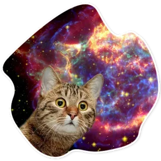Space Cats @stickersb2b telegram stickers