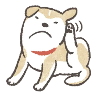 Shiba-Puppy! telegram stickers