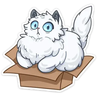 😟 cat, kitten, box, cute, animal, pet, fluffy, funny telegram sticker