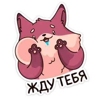 🤤 жду тебя 等待, 动物, 卡哇伊, 可爱, 狐狸, 贴纸 telegram sticker