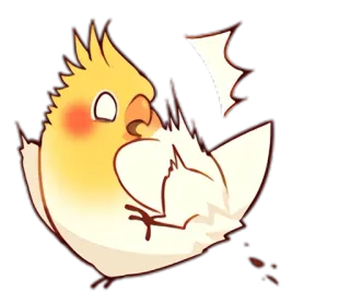 😵 pássaro, calopsita, fofo, animal, animal de estimação, chibi telegram sticker