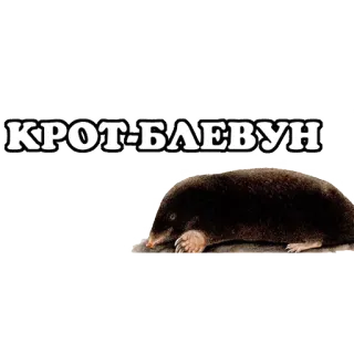 всратые жвотные whatsapp stickers