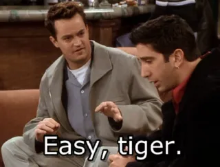 😐 Easy, tiger. freunde, tv serie, ross, chandler, easy tiger, sitcom telegram sticker
