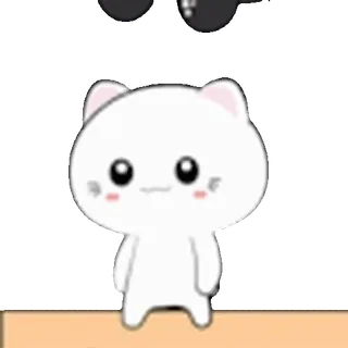 😎