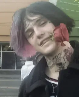 🥸 Lil Peep Lil Peep, muzyk, róża, tatuaż telegram sticker