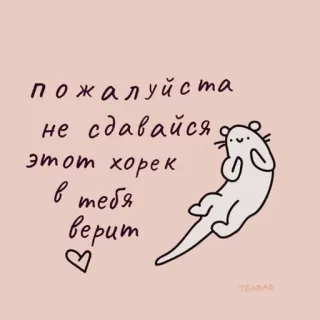 🧺 пожалуйста не сдавайся этот хорек в тебя верит motywacyjne, słodkie, fretka, zwierzę, tekst, rosyjski telegram sticker