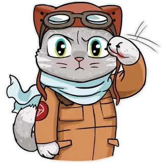🙂 고양이, 파일럿, 비행기, 동물, 조종사, 스티커 telegram sticker