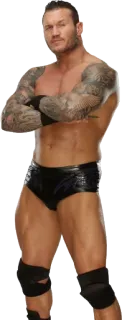 😏 Randy Orton Борьба, Спортсмен, Фитнес, Спорт whatsapp sticker