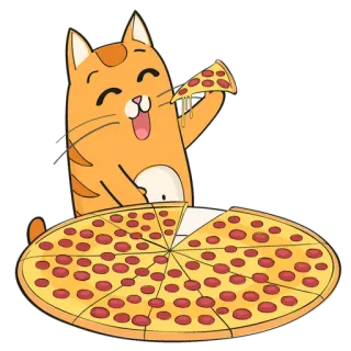 🐱 chat, pizza, nourriture, animal, dessin animé, joyeux whatsapp sticker