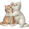 pink ➜ @emoji1 telegram emojis 🐈
