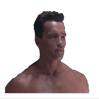 👱 Arnold Schwarzenegger Terminator คนเหล็ก, อาร์โนลด์ ชวาร์เซเน็กเกอร์, นักแสดง, ภาพยนตร์ telegram sticker