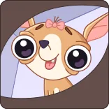 ☺️ Hund, Chihuahua, Cartoon, Tier, süß, Haustier whatsapp sticker