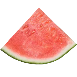 🍉 arbuz, owoc, lato, jedzenie, plaster, świeży, zdrowy telegram sticker