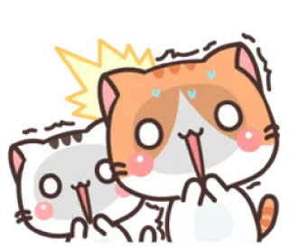 😱 mèo, động vật, hoạt hình, cử chỉ xúc phạm, ngón tay giữa whatsapp sticker