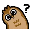 🦉