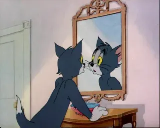 🔗 Tom Tom and Jerry Hoạt hình, Mèo, Gương, Phản chiếu, Động vật telegram sticker