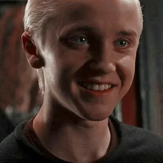 🐍 Draco Malfoy Harry Potter Draco, Malfoy, Harry Potter, Tom Felton, Personaje telegram sticker