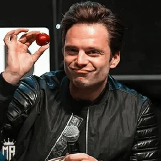 🎖 Sebastian Stan Schauspieler, Mann, Apfel, Porträt, Promi telegram sticker