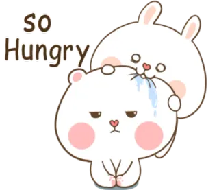 🐽 so Hungry głodny, słodki, zwierzę, królik, niedźwiedź telegram sticker