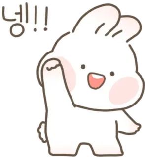 💬 넹!! coniglio, carino, saluto, coreano, ciao, animale telegram sticker
