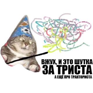 ✨ kat, tovenaar, feestmuts, dier, sticker telegram sticker