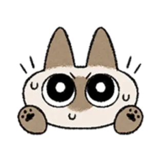 😺 gato, animal, adesivo, fofo, desenho animado telegram sticker