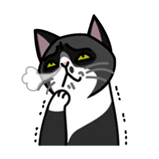 😤 кот, задумчивый, думающий, скучающий, животное whatsapp sticker
