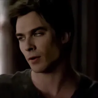 🩸 Damon Salvatore The Vampire Diaries vampire, tv show, portrait, man, actor, handsome telegram sticker