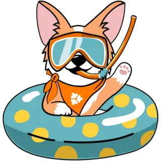 🤽‍♂️ corgi, cane, estate, nuoto, boccaglio, salvagente, piscina, divertimento telegram sticker