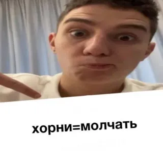 🤪 хорни=молчать telegram sticker