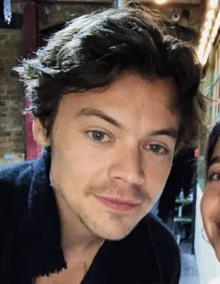 😆 Harry Styles harry styles, singer, pop star, celebrity, portrait, person, man telegram sticker
