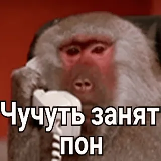 @Macrum [Деловой набор💊] telegram stickers