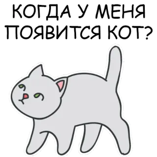 🐱 КОГДА У МЕНЯ ПОЯВИТСЯ КОТ? cat, question, waiting, pet, animal telegram sticker