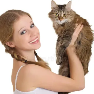 🐈 woman, cat, pet, girl, animal, domestic cat, long hair telegram sticker