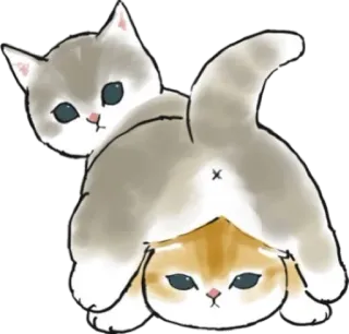 🍑 gatos, gatinhos, fofo, animais, brincalhão telegram sticker