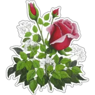 🌹 rose, flowers, bouquet, floral, nature, plant whatsapp sticker