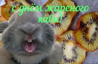 🥝 С днем жареного киви! kiwi, rabbit, food, fried, greeting, funny, meme telegram sticker