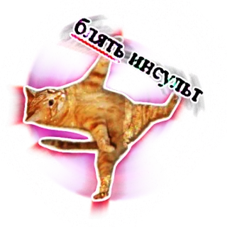 😱 Блять инсульт cat, russian text, meme, funny telegram sticker