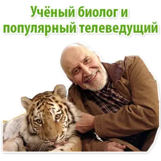 😎 Учёный биологи популярный телеведущий นักวิทยาศาสตร์, นักชีววิทยา, พิธีกรโทรทัศน์, เสือ, สัตว์, คน whatsapp sticker