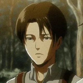 🕸 Levi Ackerman Attack on Titan Anime, Manga, Levi, Atak Tytanów, Poważny, Kapitan, Żołnierz telegram sticker