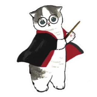 🦁 Harry Potter gato, mago, magia, harry potter, mascota, gatito whatsapp sticker