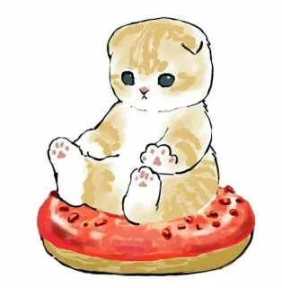 🍩 kot, donut, kociak, słodki, zwierzę, jedzenie, słodki telegram sticker